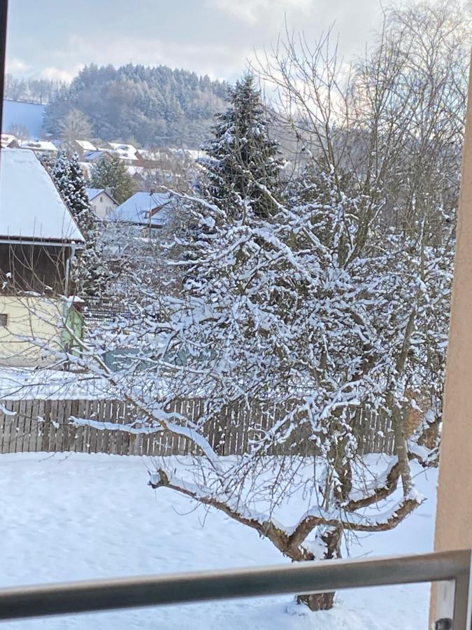 Wiesenfelden Grosszuegig Und Komfortabel:Ferienwohnung Im Bayerischen Wald! מראה חיצוני תמונה